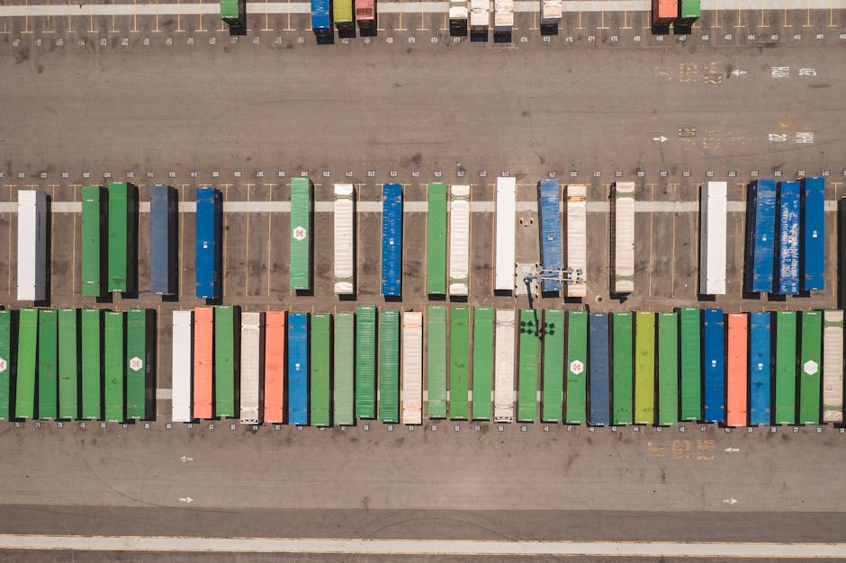 Profesjonalny transport towarów przekraczający granicę przy pełnym wsparciu logistycznym